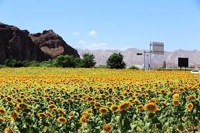 《原子之心》更新上线 为PS5和XS加入120Hz模式